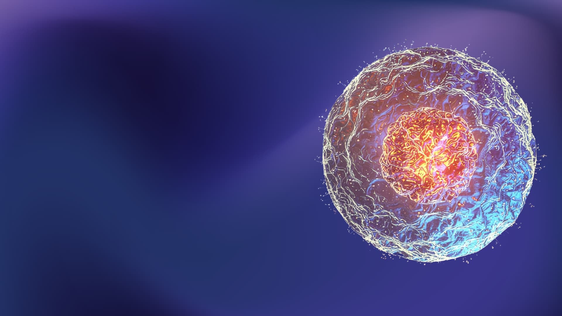 Cell Biology